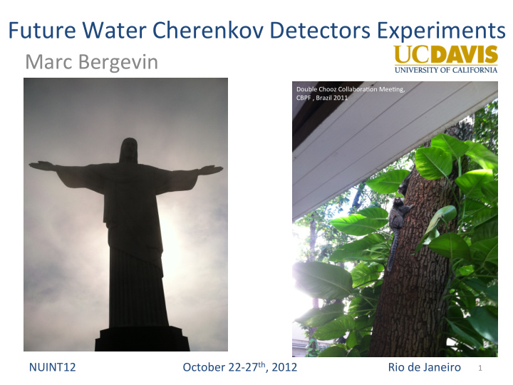 future water cherenkov detectors experiments