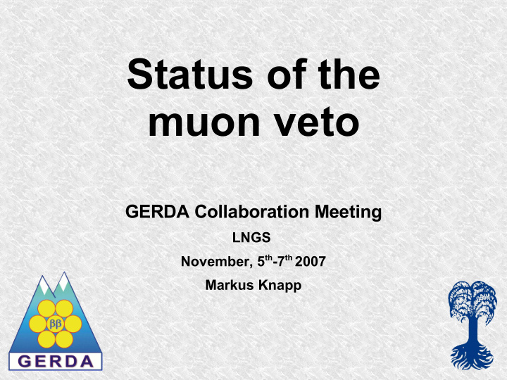 status of the muon veto