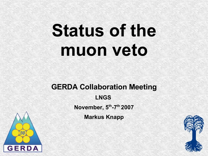 status of the muon veto
