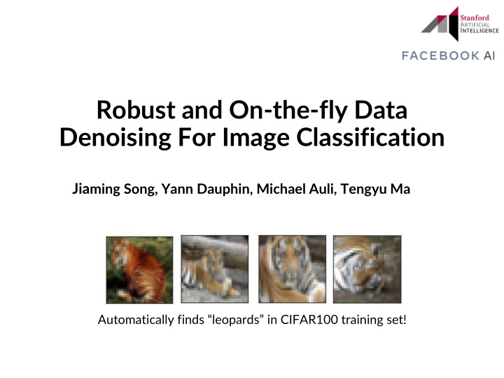 robust and on the fly data denoising for image