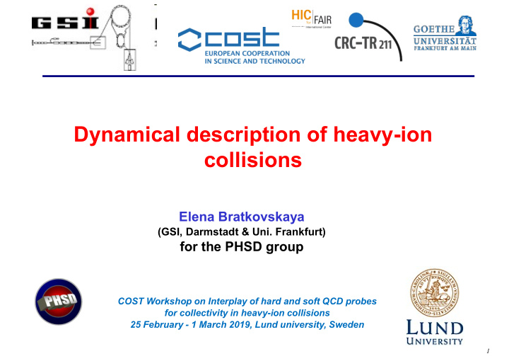 dynamical description of heavy ion collisions