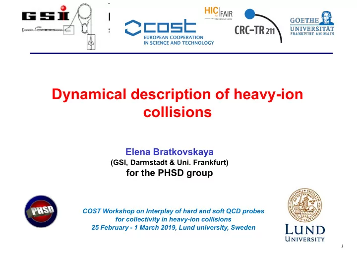 dynamical description of heavy ion collisions