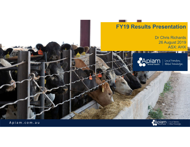 fy19 results presentation