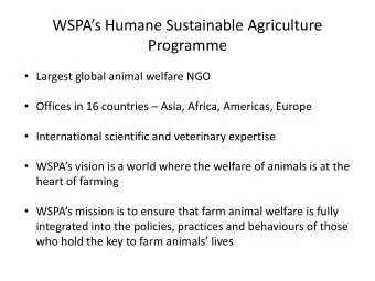 WSPAs Humane Sustainable Agriculture  Programme  Largest global animal welfare NGO