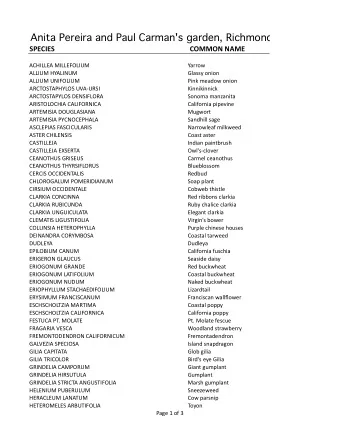 Anita Pereira and Paul Carman's garden, Richmond  SPECIES  COMMON NAME  ACHILLEA MILLEFOLIUM