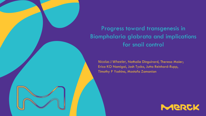 progress toward transgenesis in biomphalaria glabrata and