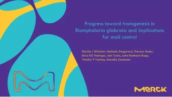 Progress toward transgenesis in  Biomphalaria glabrata and implications  for snail control Nicolas