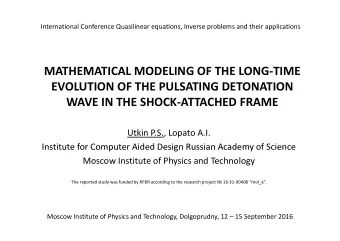MATHEMATICAL MODELING OF THE LONG  TIME EVOLUTION OF THE PULSATING DETONATION WAVE IN THE SHOCK