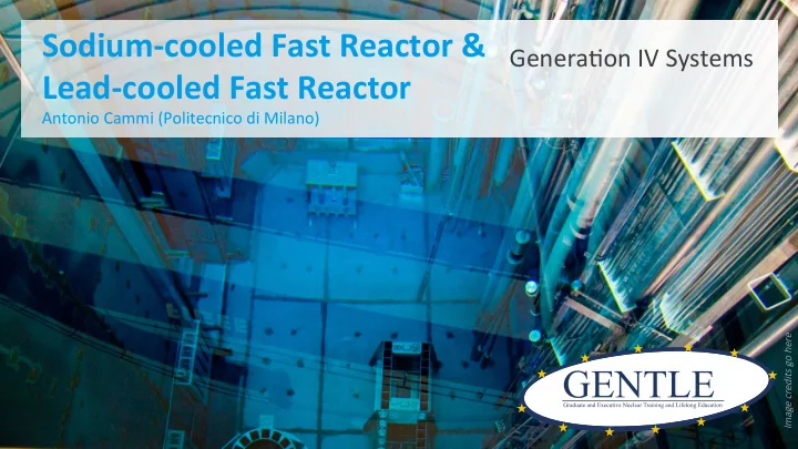 sodium cooled fast reactor