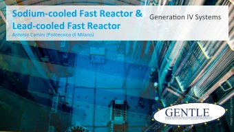 Sodium-cooled  Fast  Reactor  &amp;      Genera(on  IV  Systems