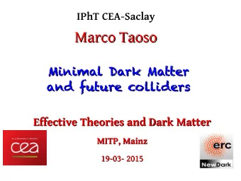 Marco Taoso  Marco Taoso  Minimal Dark Matter  Minimal Dark Matter  and future colliders  and