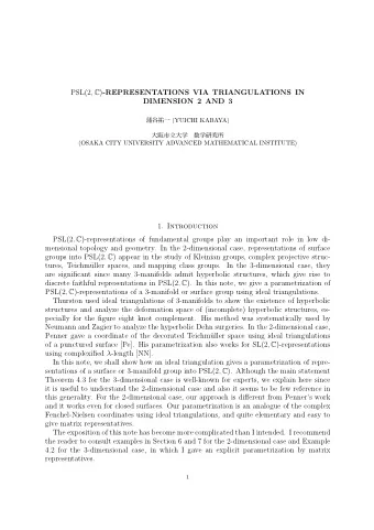 PSL(2 , C ) -REPRESENTATIONS VIA TRIANGULATIONS IN  DIMENSION 2 AND 3  (YUICHI KABAYA)
