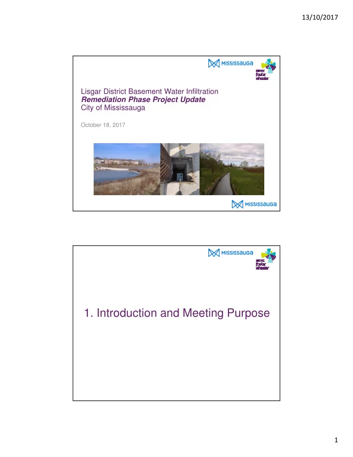 1 introduction and meeting purpose