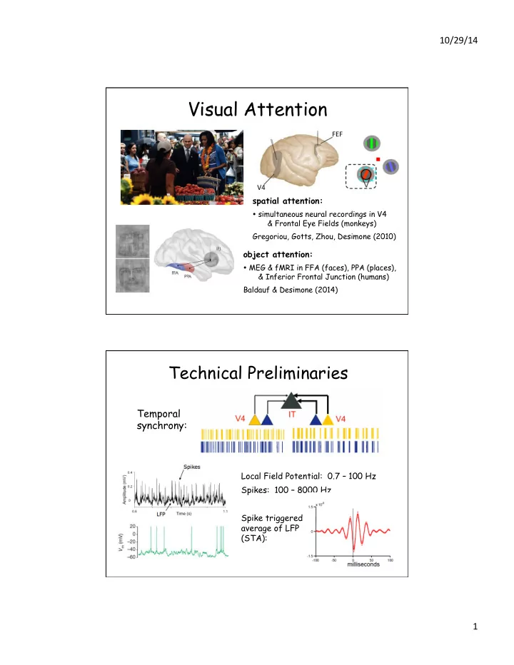 visual attention