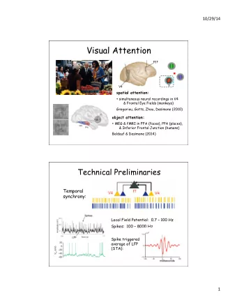 Visual Attention  FEF    V4    spatial attention:  simultaneous neural recordings in V4