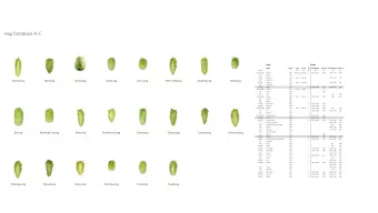 Hop Database A-C  Hops  Yeilds  Name  Origin  Type  Group  Pic  Yield (kg/ha)  Grown in  Yield