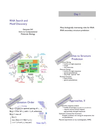 Day 1  &quot; RNA Search and ! Motif Discovery &quot; Many biologically interesting roles for RNA