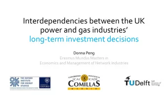 Interdependencies between the UK power and gas industries   long-term investment decisions