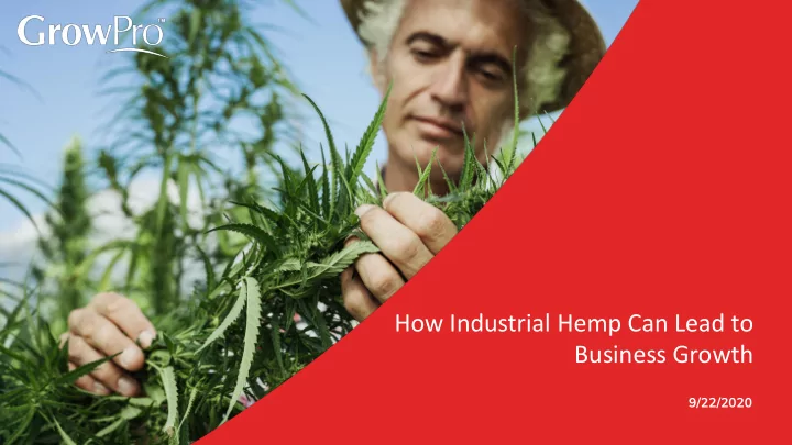 how industrial hemp can lead to business growth