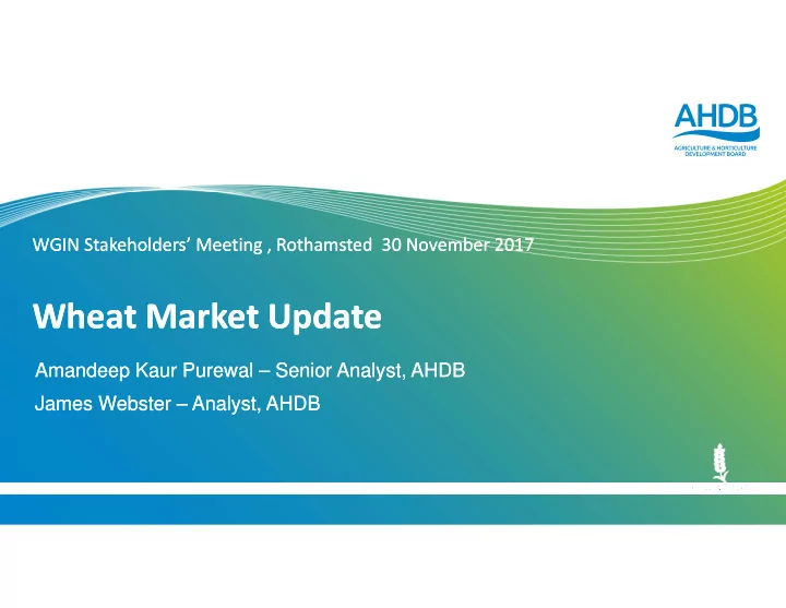 wheat market update wheat market update