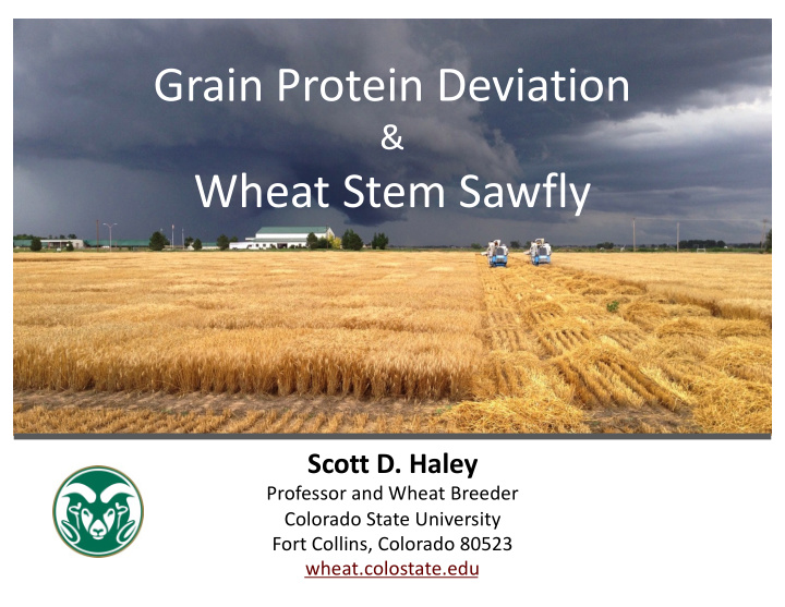 grain protein deviation