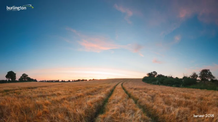 harvest 2018 the feast of firstfruits