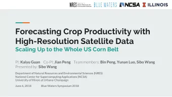 Forecasting Crop Productivity with  High-Resolution Satellite Data  Scaling Up to the Whole US Corn