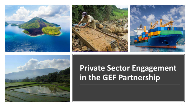 private sector engagement in the gef partnership
