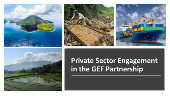 Private Sector Engagement  in the GEF Partnership  1  2  2  The Two Pillars of GEF Private Sector