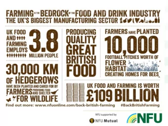 NFUs Brexit Policy Priorities  Focus is on the four main policy areas of:  Trade  Labour