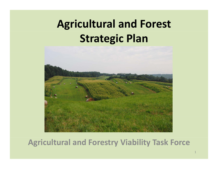 agricultural and forest strategic plan