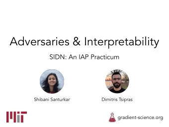 Adversaries &amp; Interpretability  SIDN: An IAP Practicum  Shibani Santurkar  Dimitris Tsipras