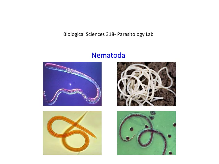 nematoda