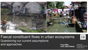 Faecal constituent flows in urban ecosystems  Questioning our current assumptions  and approaches