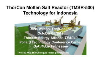 ThorCon Molten Salt Reactor (TMSR-500)  Technology for Indonesia  Dane Wilson, ThorCon Intl
