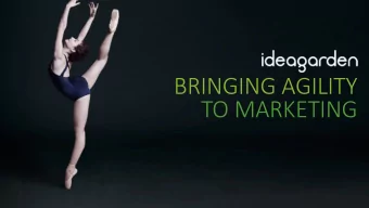 BRINGING AGILITY  This image cannot currently be displayed.  TO MARKETING  MARKETING HAS SOME BASIC