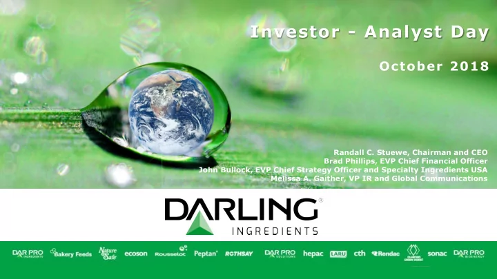 investor analyst day