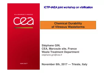 Chemical Durability  of Vitreous Wasteforms  Stphane GIN,  CEA, Marcoule site, France  Waste