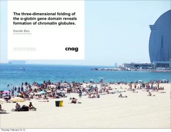 The three-dimensional folding of the  -globin gene domain reveals  formation of chromatin