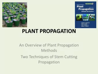 PLANT PROPAGATION  An Overview of Plant Propagation  Methods  Two Techniques of Stem Cutting