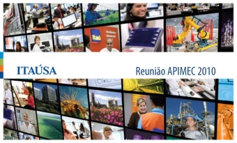 Reunio APIMEC 2010  Henri Penchas  Diretor de Relaes com Investidores  Estrutura