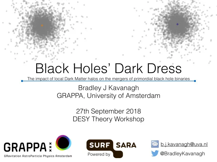 black holes dark dress