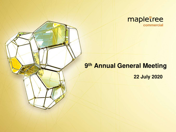 9 th annual general meeting