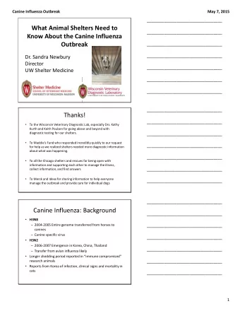 Know About the Canine Influenza  Outbreak  ___________________________________