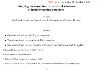 Studying the asymptotic structure of solutions  of hydrodynamical equations  W. Pauls  Max Planck