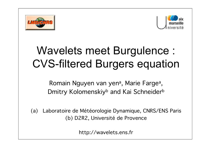 wavelets meet burgulence cvs filtered burgers equation