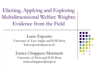 Eliciting, Applying and Exploring  Multidimensional Welfare Weights:  Evidence from the Field
