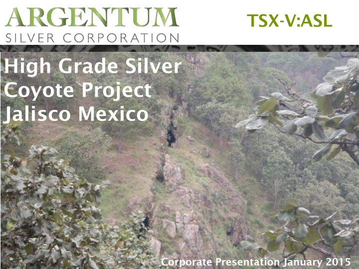 high grade silver coyote project jalisco mexico