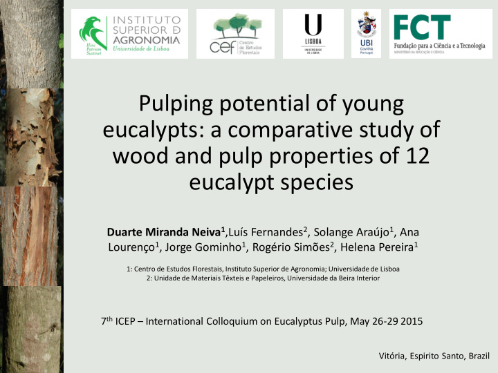 pulping potential of young eucalypts a comparative study