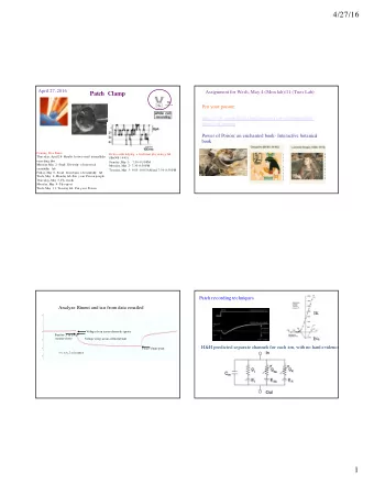 4/27/16  April 27, 2016  Assignment for Weds, May 4 (Mon lab)/11 (Tues Lab)  Patch Clamp  Pen your